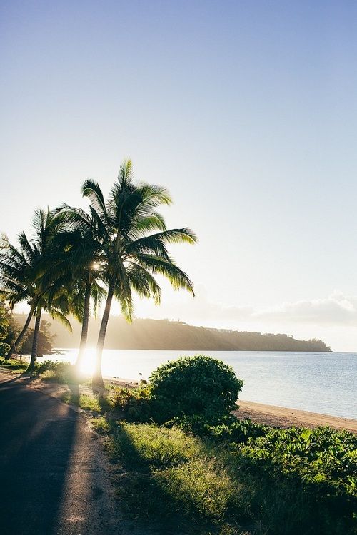 travel : hawaii planning | madeline made